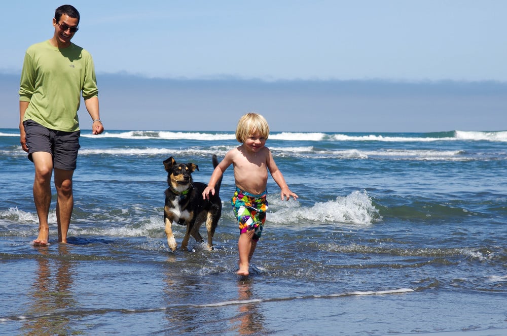 A man and a dog walking on a beach